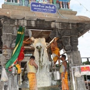 திருவண்ணாமலை அருணாச்சலேஸ்வரர் கோவிலில் வைகாசி மாத அமாவாசை பிரதோஷம்!