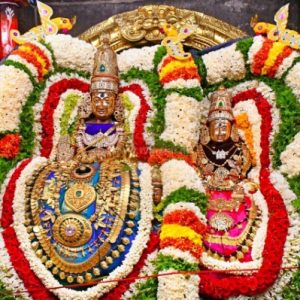 திருவண்ணாமலை அருள்மிகு அருணாசலேஸ்வரர் திருக்கோயில் சித்திரை வசந்த உற்சவம் ஏழாம் நாள்!