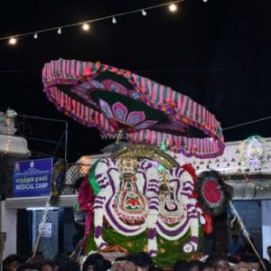 திருவண்ணாமலை அருள்மிகு அருணாசலேஸ்வரர் திருக்கோயில் சித்திரை வசந்த உற்சவம் – Day 8