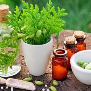 How to Apply for Homeopathic Medicines Licence (DCA-402) in Tamil Nadu