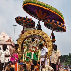 திருவண்ணாமலை அருள்மிகு அண்ணாமலையார் திருக்கோயிலில் கார்த்திகை தீபத் திருவிழா 2025 – இரண்டாம் நாள் காலை!