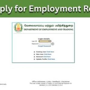 How to Apply for Employment Registration (EMP-503) in Tamil Nadu