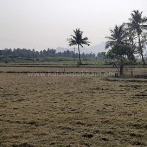 கலசபாக்கம் அடுத்த வில்வாரணி பகுதியில் விவசாய நிலம் குத்தகைக்கு!