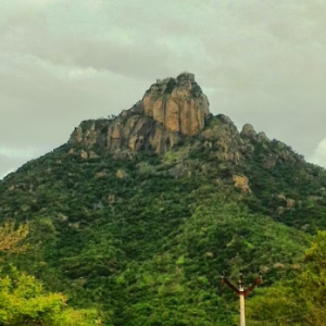 திருவண்ணாமலை மாவட்டத்தில் பர்வதமலை ஏற்றத்திற்கு புதிய வழிகாட்டு நெறிமுறைகள் அறிவிப்பு!