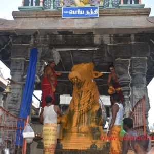 திருவண்ணாமலை அருணாச்சலேஸ்வரர் கோவிலில் பிரதோஷ வழிபாடு