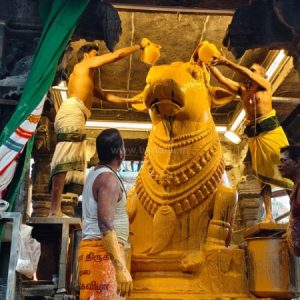 திருவண்ணாமலை அருணாச்சலேஸ்வரர் கோவிலில் மார்கழி  மாத அமாவாசை பிரதோஷம்!