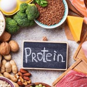 How Protein Naturally Supports Fat Loss