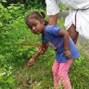 கலசபாக்கம் – காப்பலூர் சாலையில் விதை பந்துகள் விதைக்கப்பட்டன!