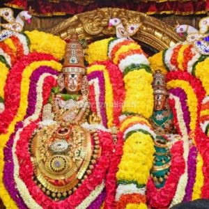 திருவண்ணாமலை அருள்மிகு அருணாசலேஸ்வரர் திருக்கோயில் சித்திரை வசந்த உற்சவம் ஏழாம் நாள்!
