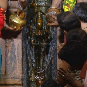 திருவண்ணாமலை அண்ணாமலையார் கோவிலில் லிங்கோத்பவருக்கு அபிஷேகம்!