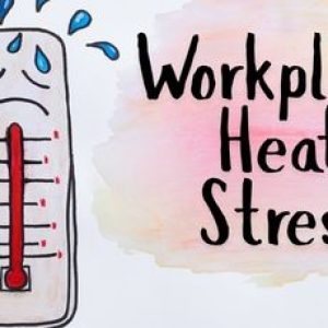 Workplace Heat Stress: Understanding Risks, Symptoms, and Safety Tips for Workers